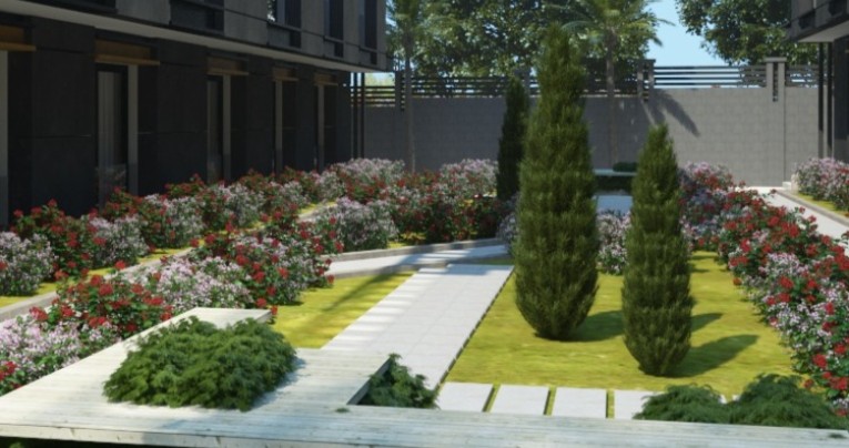 Roses Garden thumbnail 1