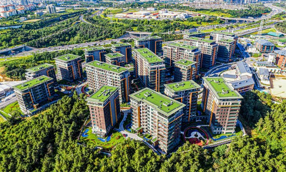 Vadi Istanbul